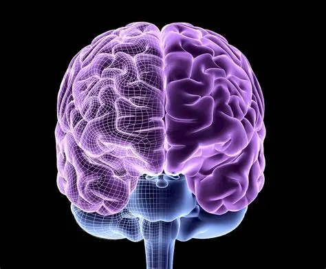 Neuro Energizer