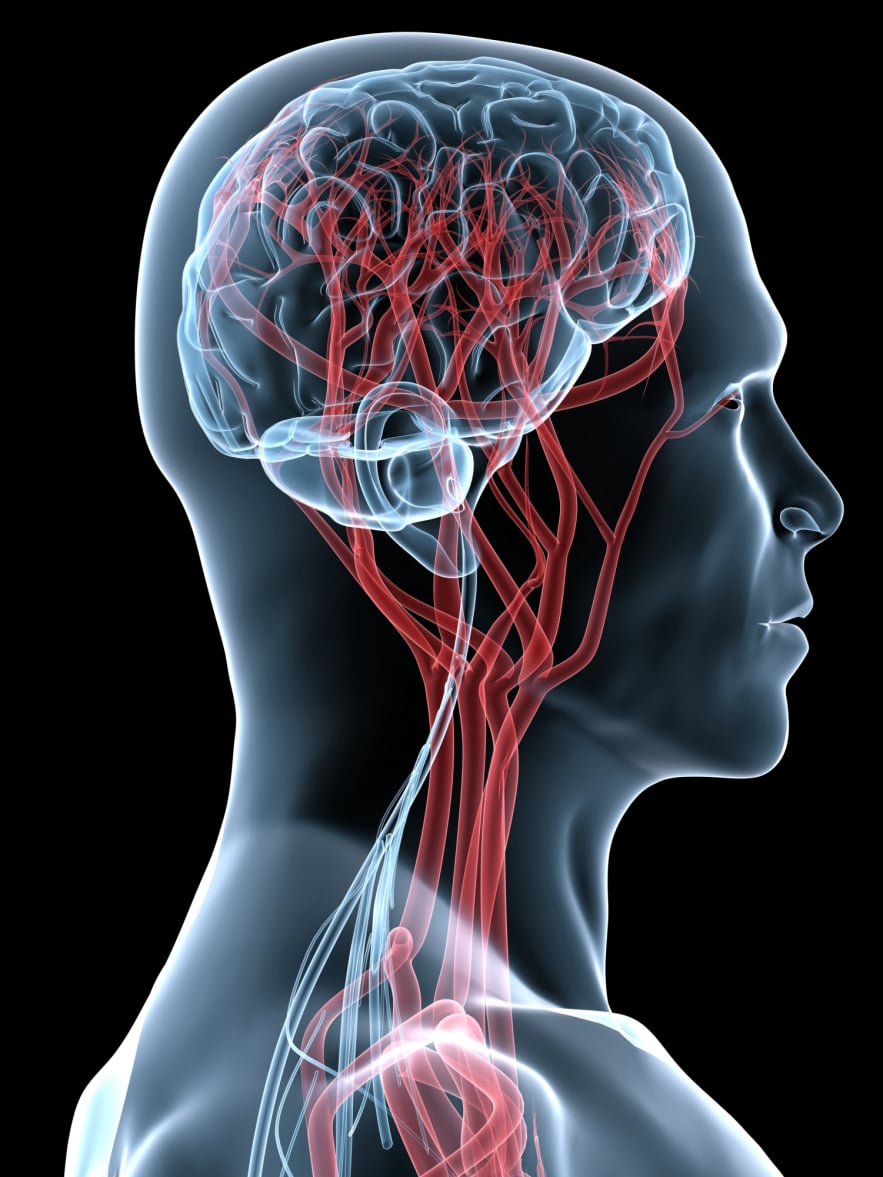 Neuro Energizer